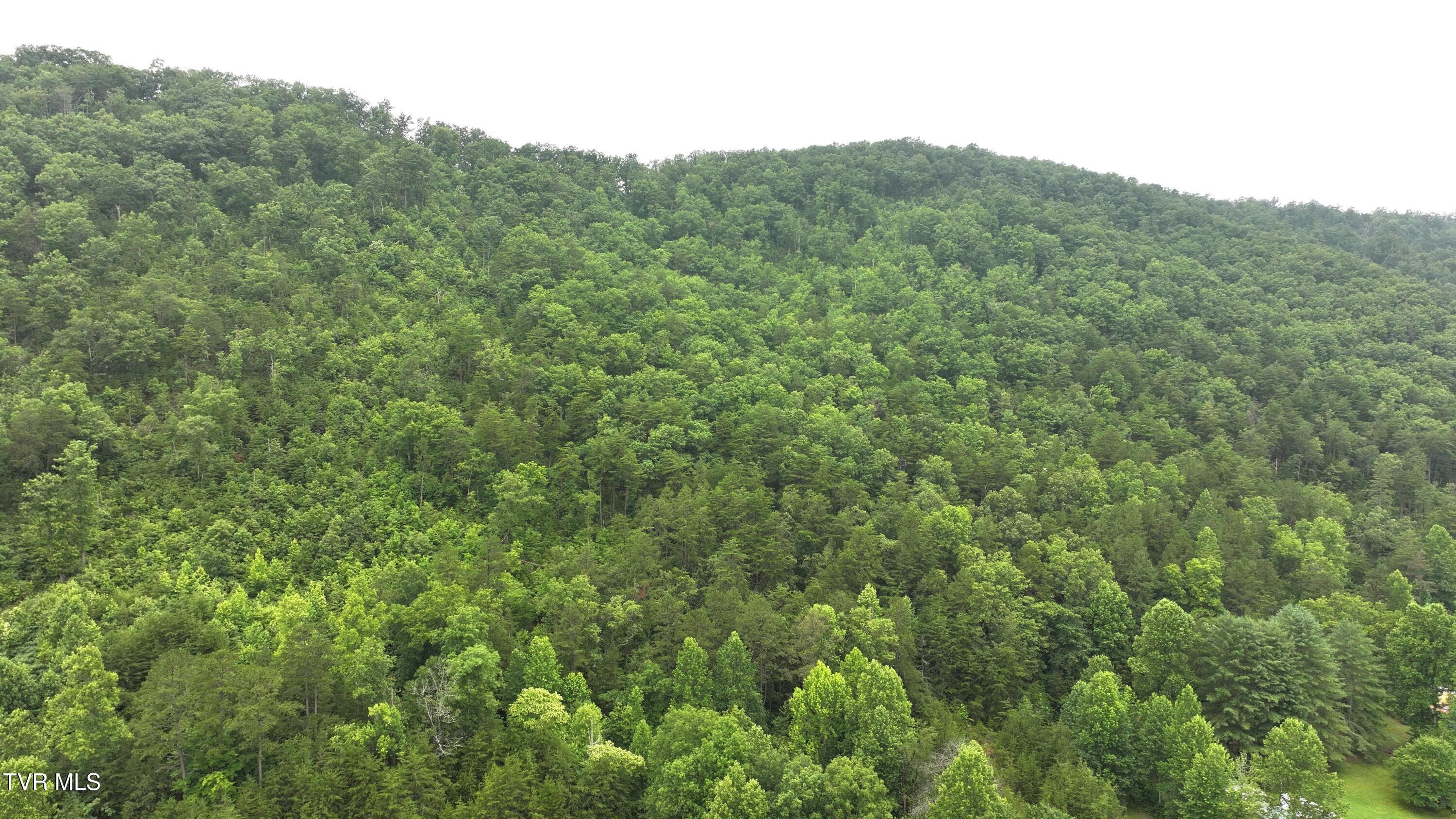 901 Grassy Creek Road Rogersville, TN 37857 - Photo 23 of 35 DJI_20250628100518_0032_D