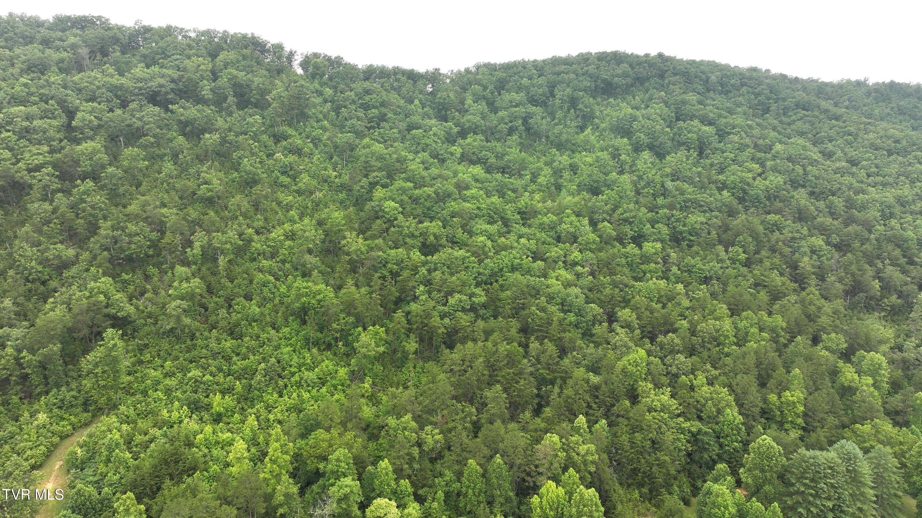 901 Grassy Creek Road Rogersville, TN 37857 - Photo 24 of 35 DJI_20250628100616_0034_D