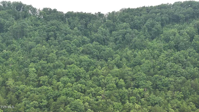 $139,900 | 901 Grassy Creek Road, Rogersville, TN 37857