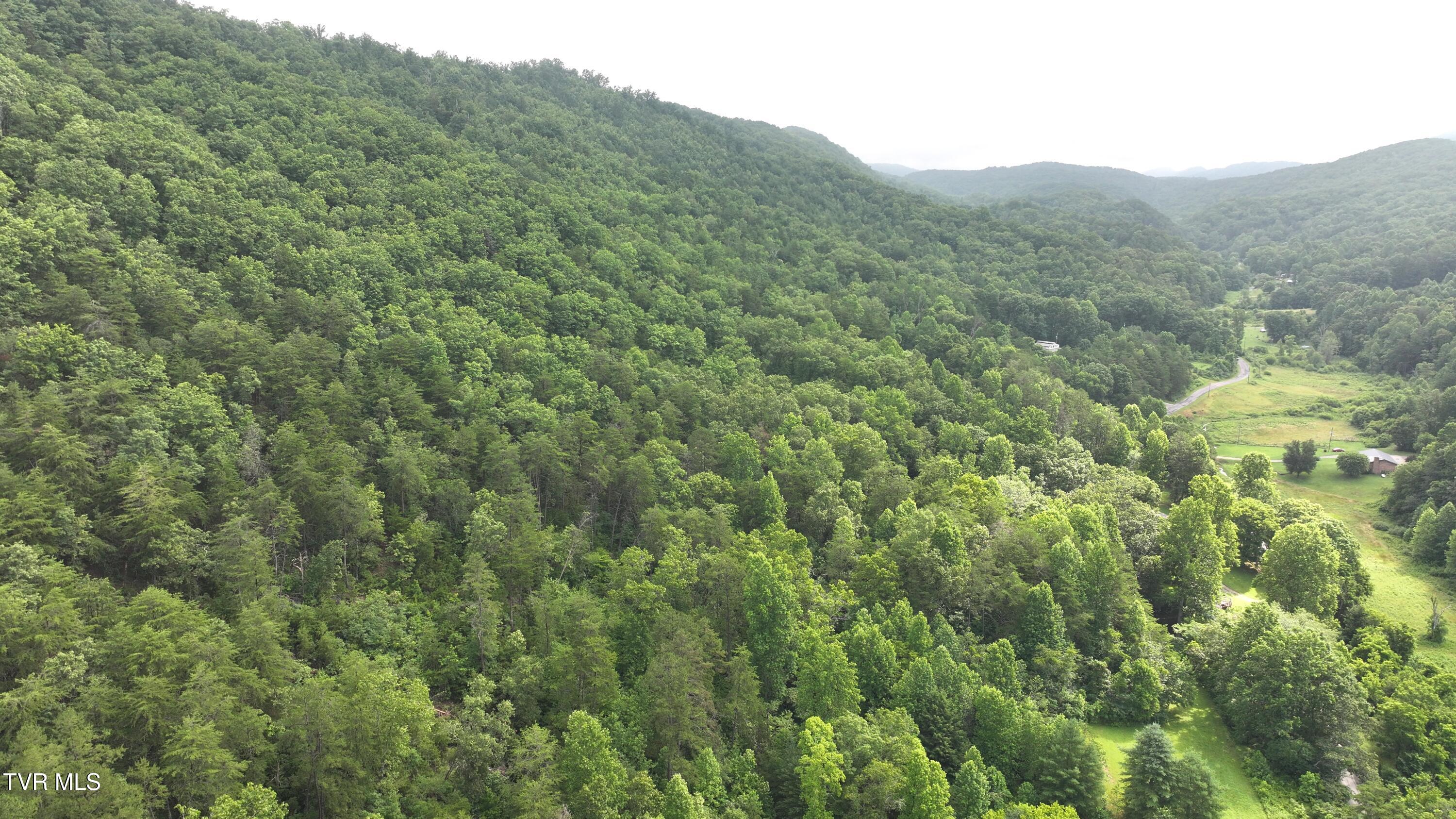 901 Grassy Creek Road Rogersville, TN 37857 - Photo 35 of 35 DJI_20250628102327_0051_D