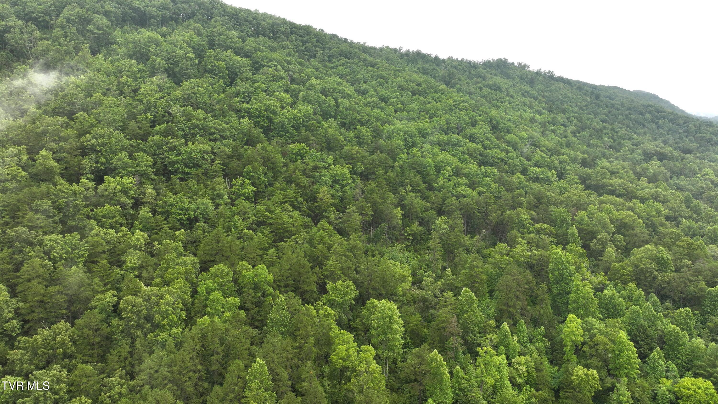 901 Grassy Creek Road Rogersville, TN 37857 - Photo 8 of 35 DJI_20250628090733_0007_D