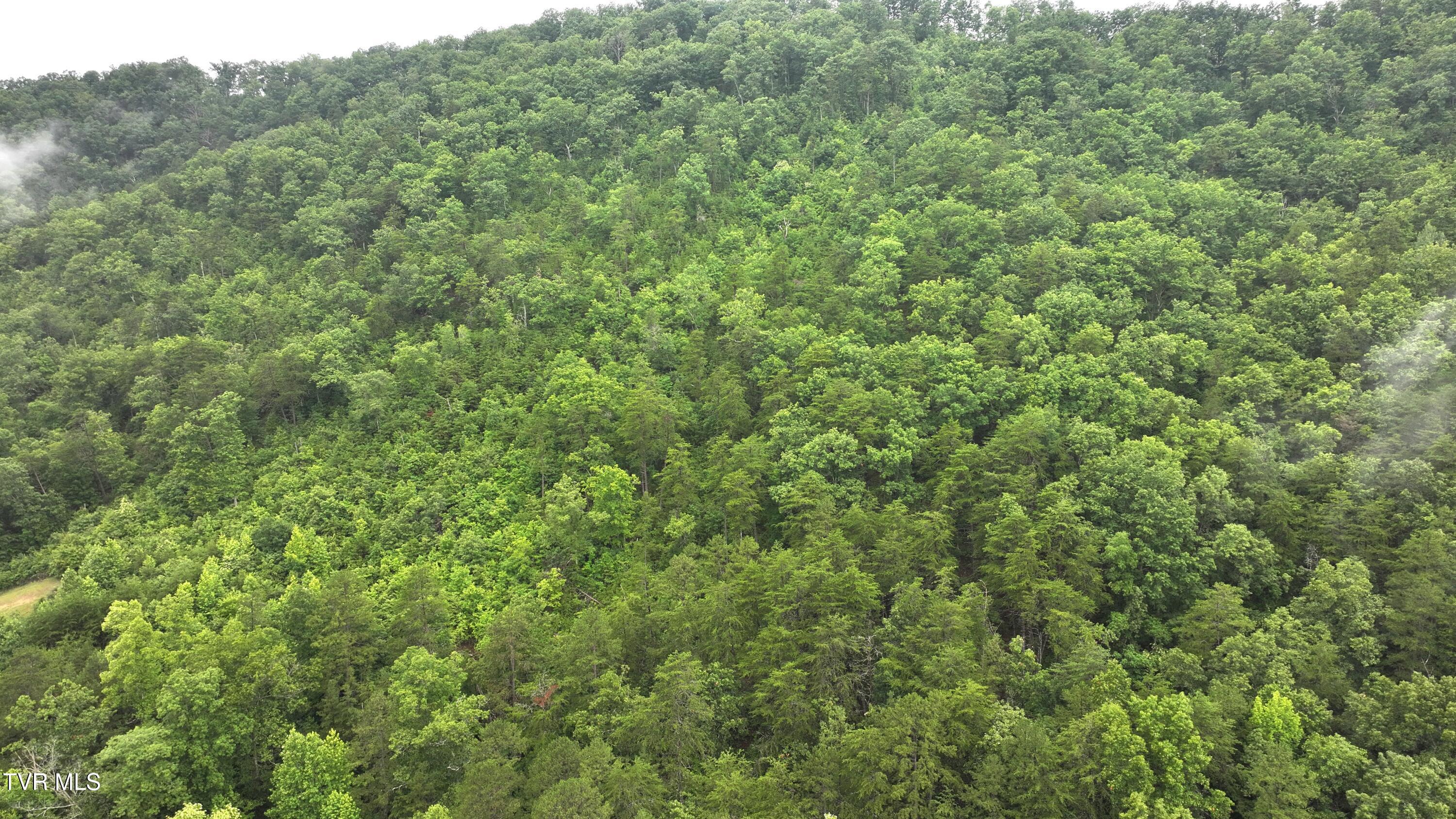 901 Grassy Creek Road Rogersville, TN 37857 - Photo 9 of 35 DJI_20250628090744_0008_D