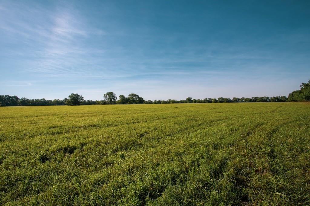 0 Underhill Road Mound City, KS 66056 - Photo 15 of 36