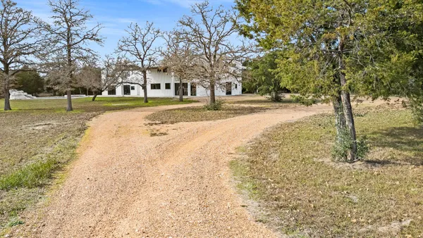 a view of yard with trees