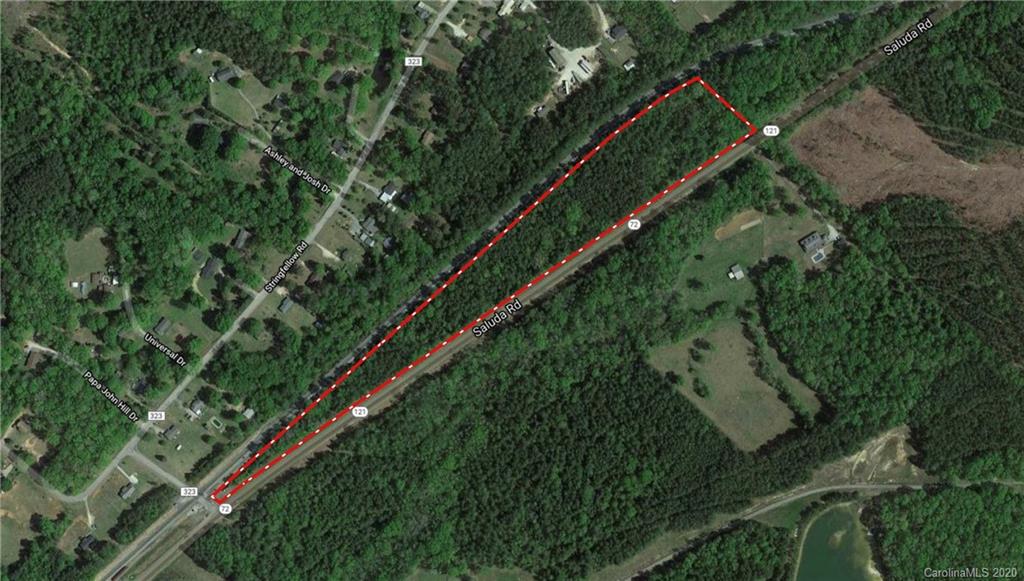 18.92 Acres Saluda Road Chester, SC 29706 - Photo 2 of 12 a view of a yard with a plant