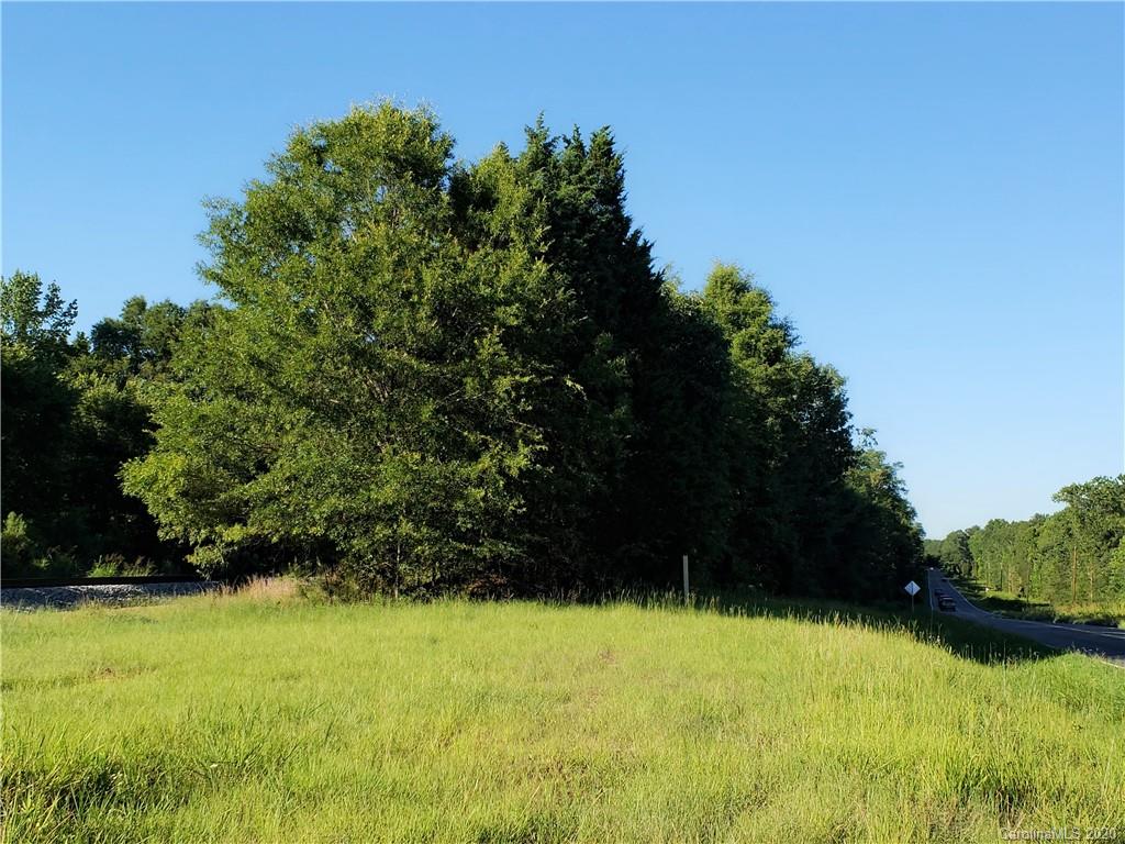 18.92 Acres Saluda Road Chester, SC 29706 - Photo 10 of 12 a view of a yard