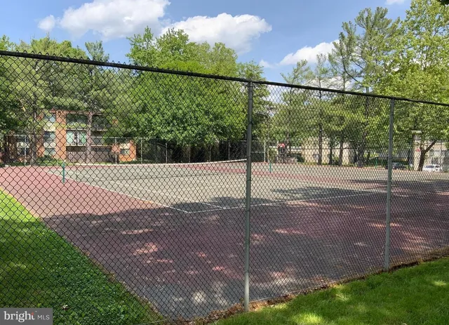 a view of a park with large trees