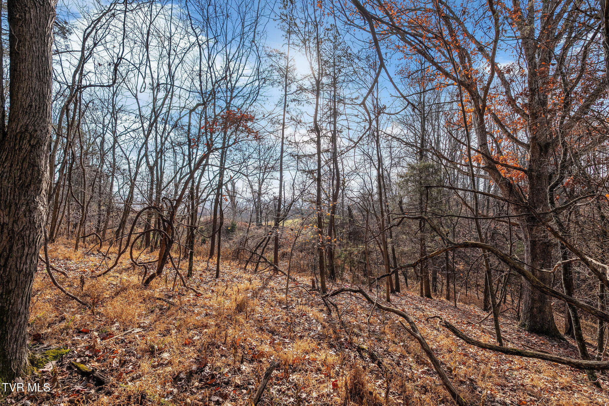 Tbd Skyline Road Jonesborough, TN 37659 - Photo 15 of 26 DSC00902