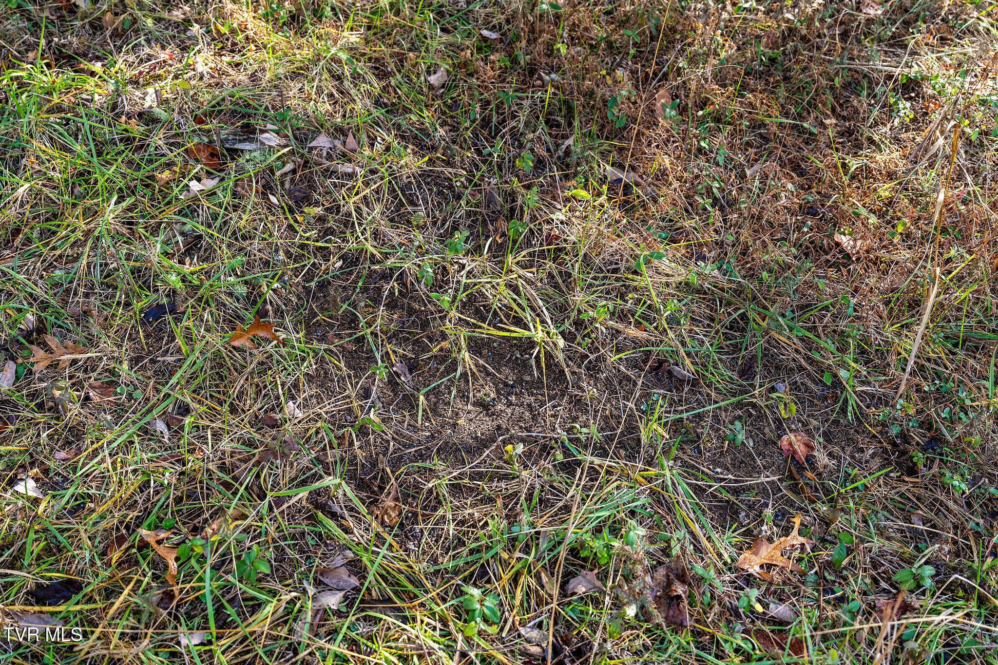 Tbd Skyline Road Jonesborough, TN 37659 - Photo 22 of 26 DSC00931