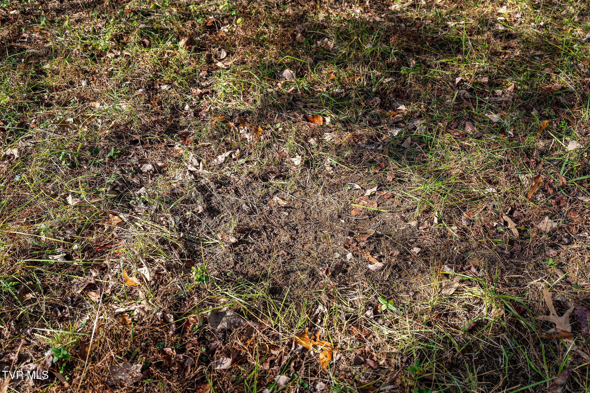 Tbd Skyline Road Jonesborough, TN 37659 - Photo 23 of 26 DSC00932