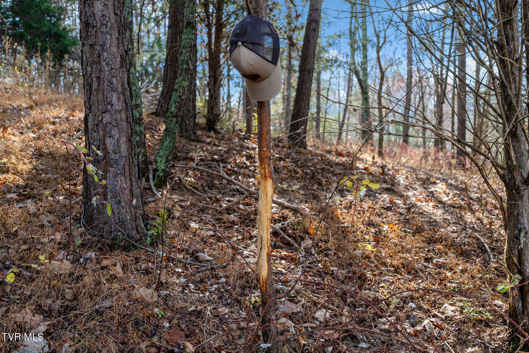 Tbd Skyline Road Jonesborough, TN 37659 - Photo 26 of 26 DSC00935