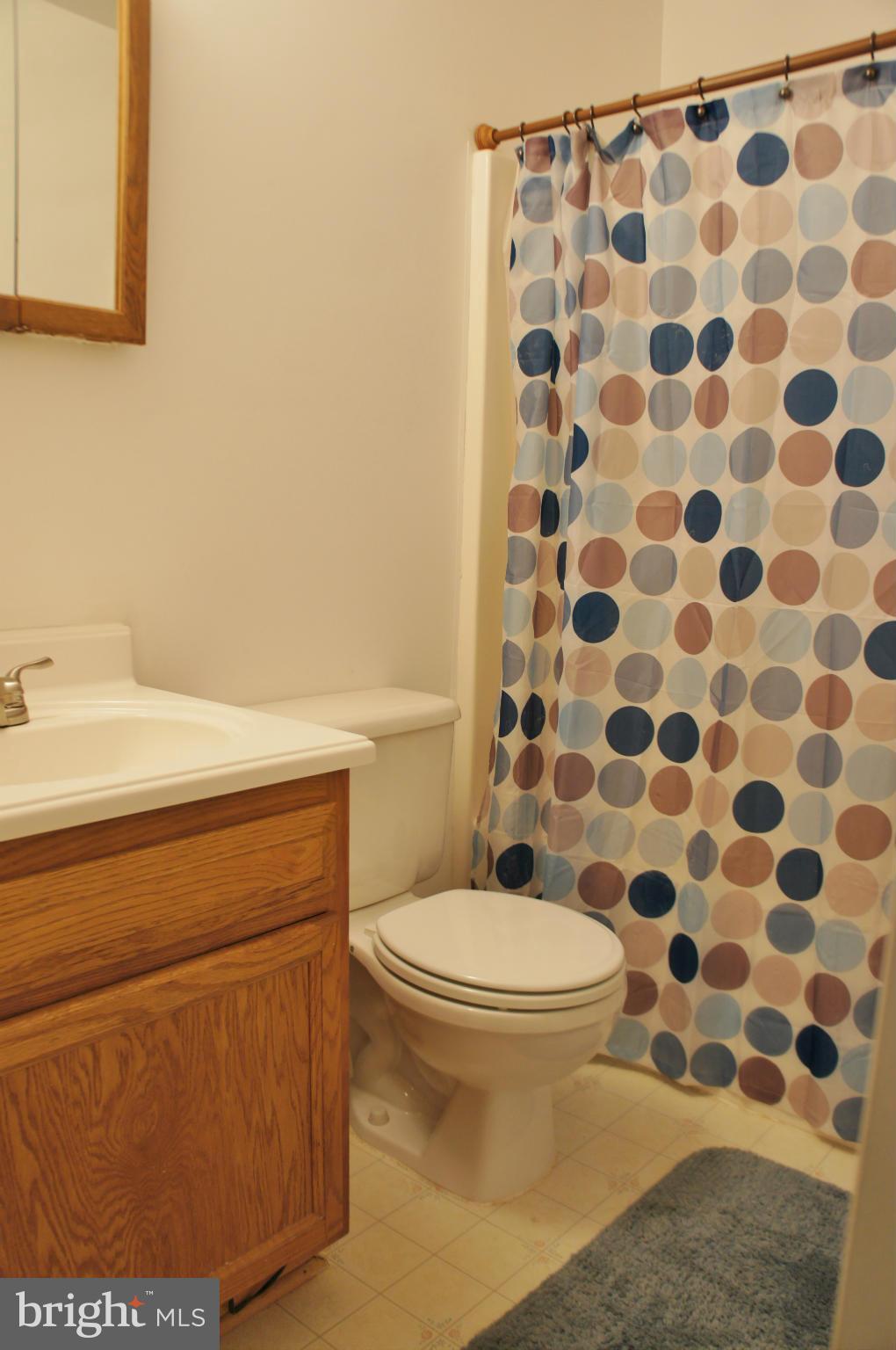 5015 Decatur Street St. Leonard, MD 20685 - Photo 8 of 30 a bathroom with a sink toilet and shower