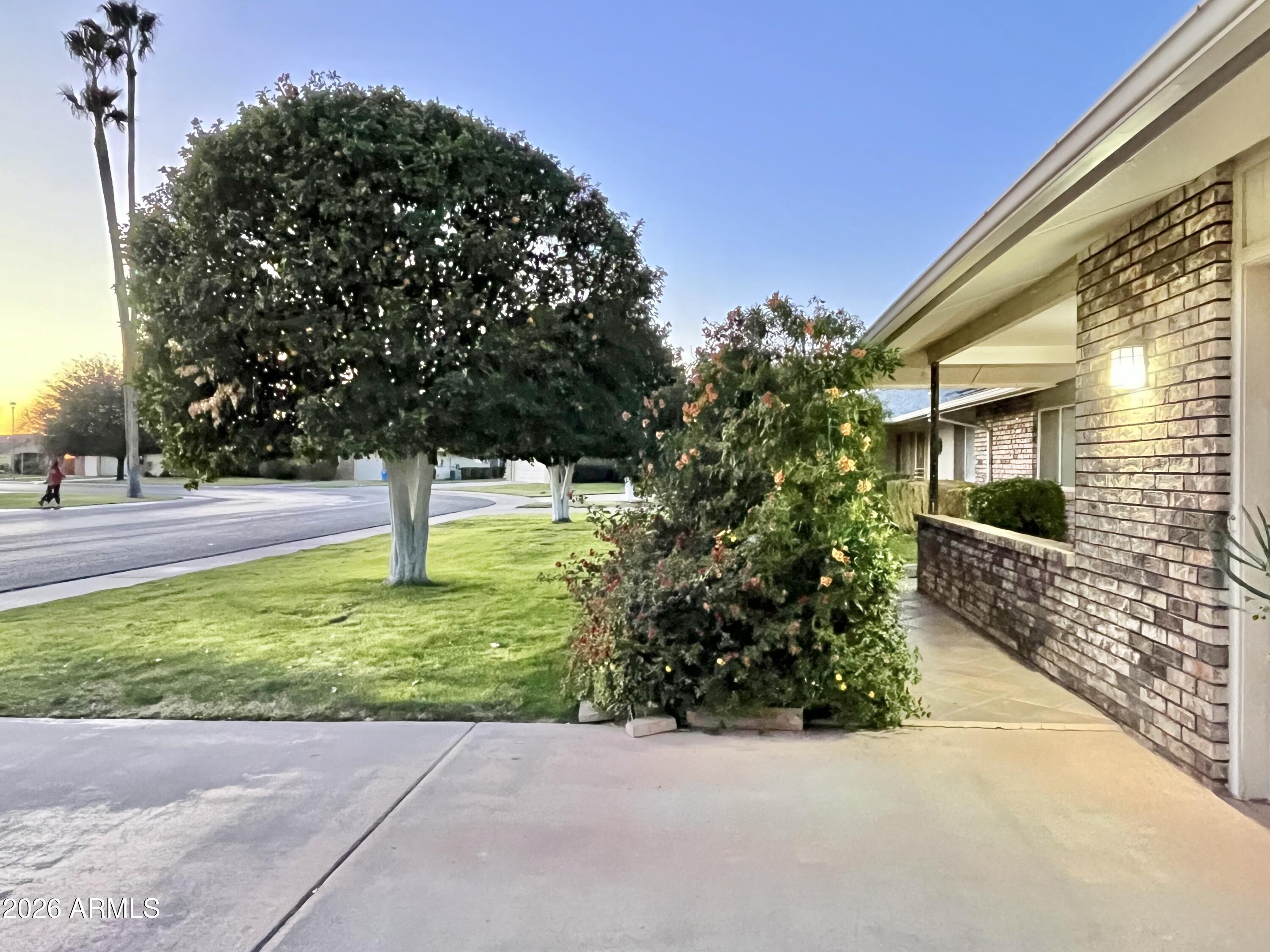 9718 West Oak Ridge Drive Sun City, AZ 85351 - Photo 39 of 41 a view of backyard with tree