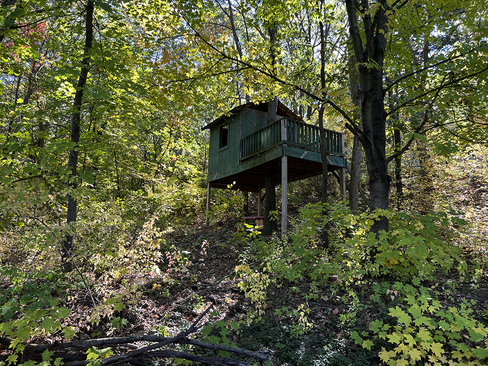 18510 Sand Road Fulton, IL 61252 - Photo 21 of 54 a backyard of a house with lots of green space