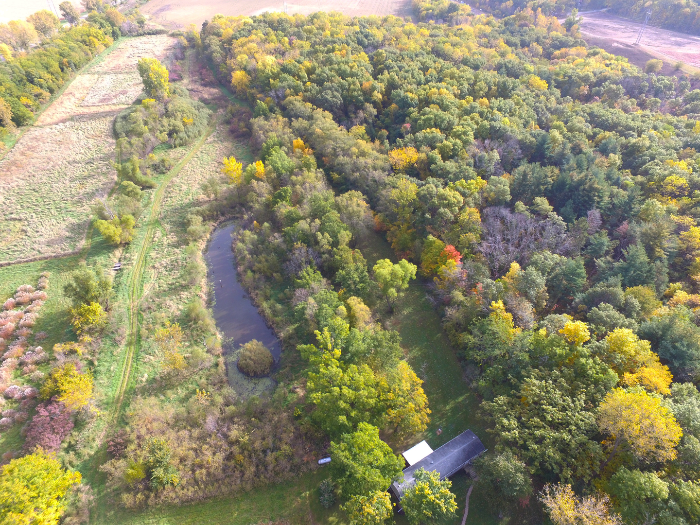 18510 Sand Road Fulton, IL 61252 - Photo 47 of 54 a view of a yard