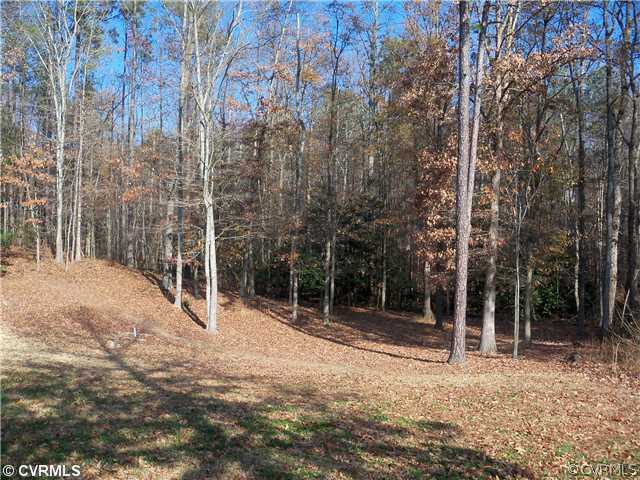 5224 Lockberry Ridge Drive North Chesterfield, VA 23237 - Photo 21 of 21 View
