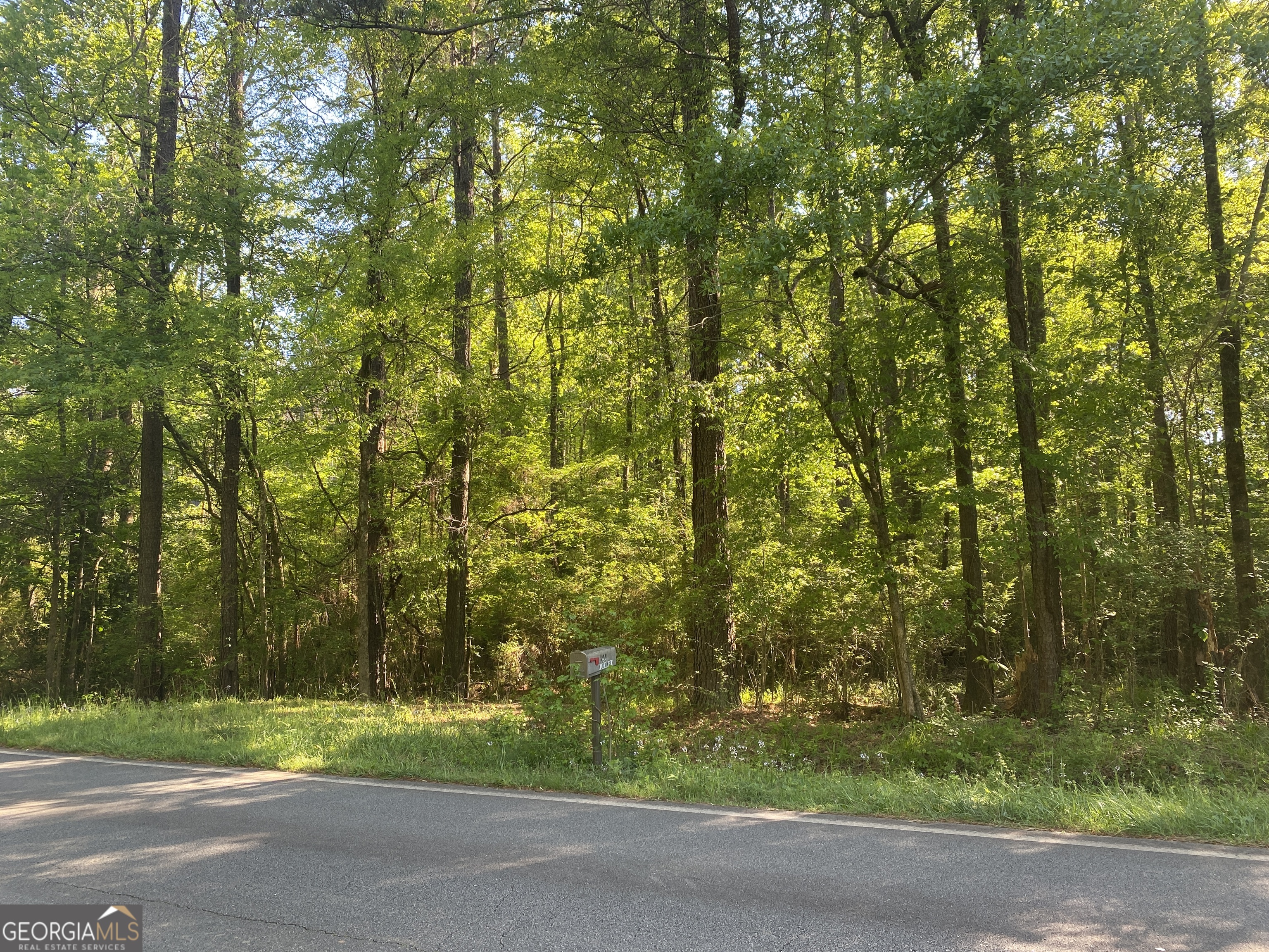 364 Turner Woods Road Gray, GA 31032 - Photo 2 of 3 a view of a yard with plants and trees