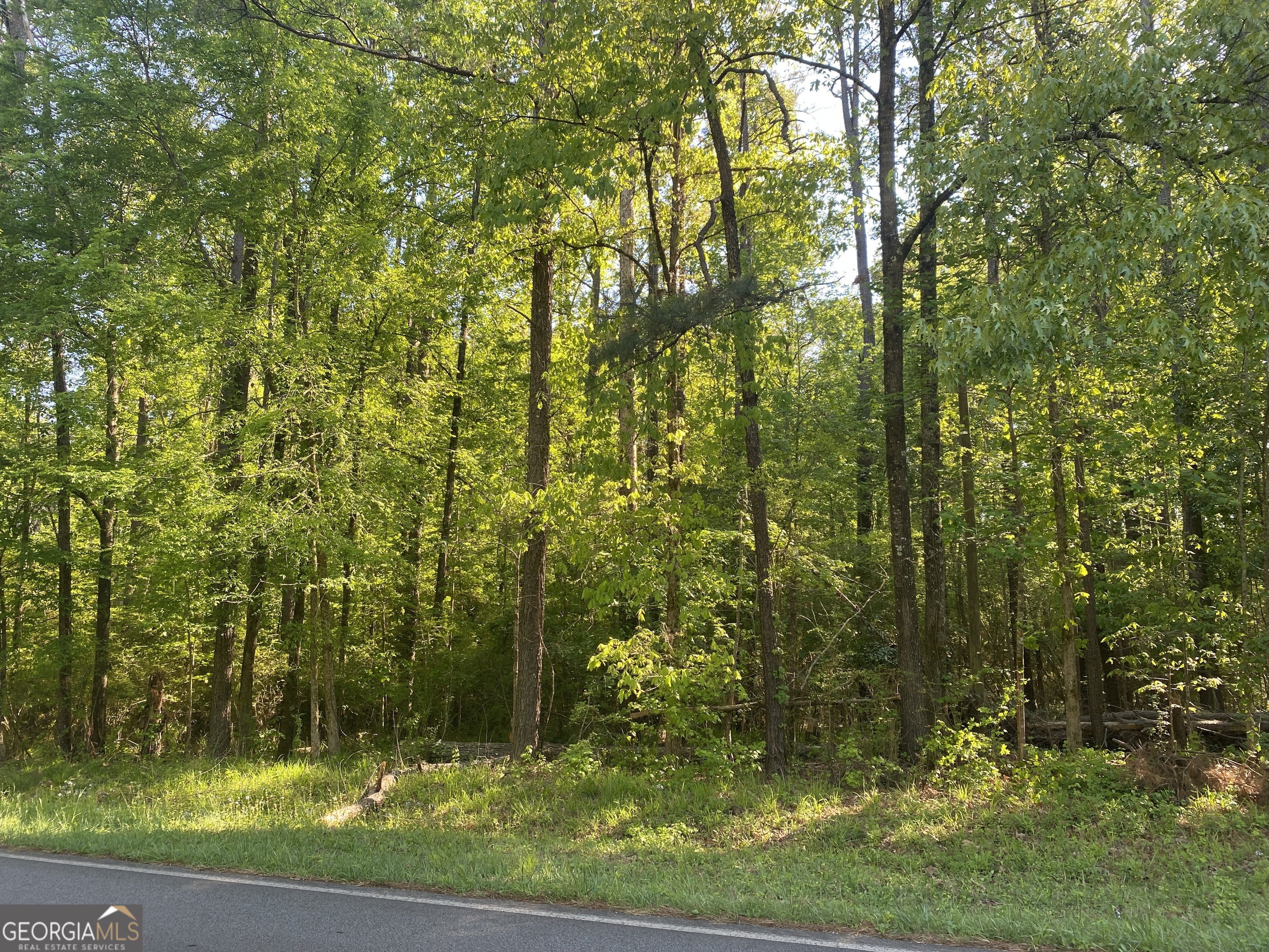364 Turner Woods Road Gray, GA 31032 - Photo 3 of 3