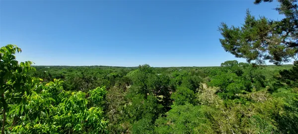 a view of a lush green space