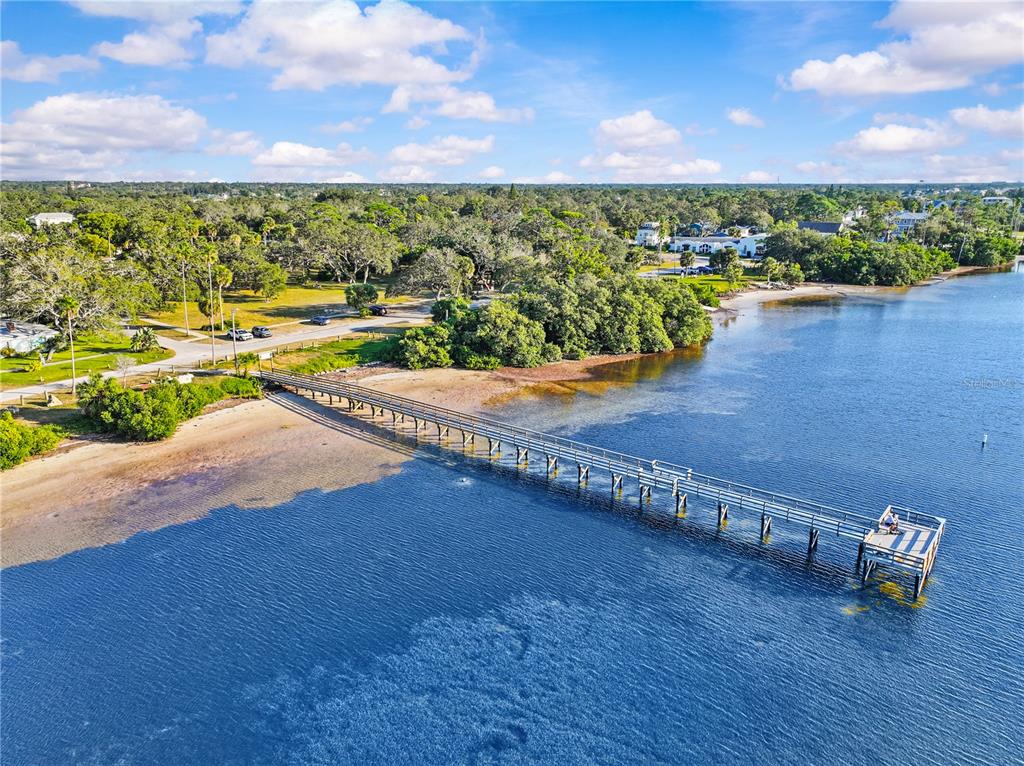 314 Indiana Avenue Crystal Beach, FL 34681 - Photo 32 of 42