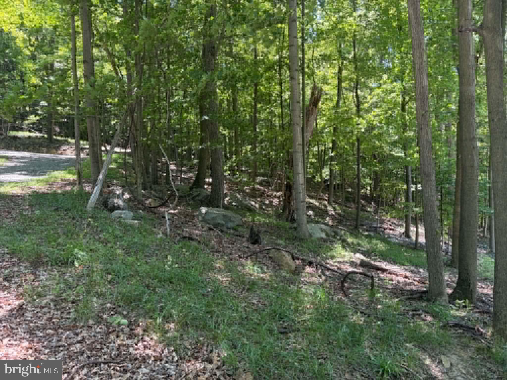 1515 Barnum Road Keyser, WV 26726 - Photo 43 of 64