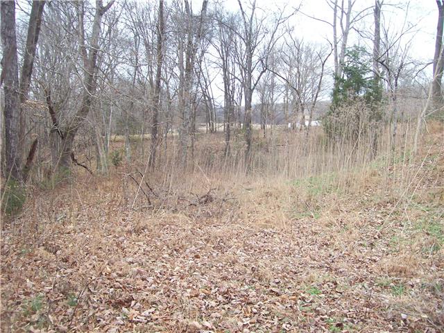0 Beaverdam East Road Centerville, TN 37033 - Photo 11 of 13 Gallery Image 11