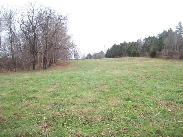 0 Beaverdam East Road Centerville, TN 37033 - Photo 4 of 13 Gallery Image 4