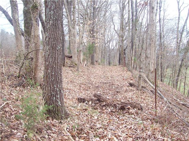 0 Beaverdam East Road Centerville, TN 37033 - Photo 6 of 13 Gallery Image 6