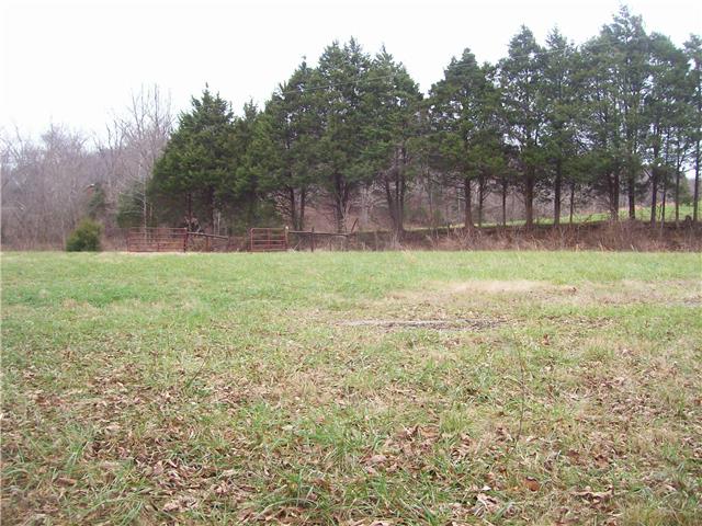 0 Beaverdam East Road Centerville, TN 37033 - Photo 7 of 13 View looking toward the road.
