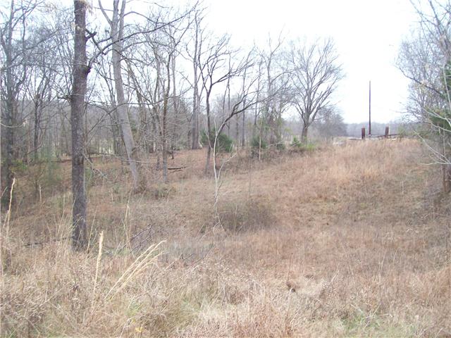 0 Beaverdam East Road Centerville, TN 37033 - Photo 9 of 13 Gallery Image 9