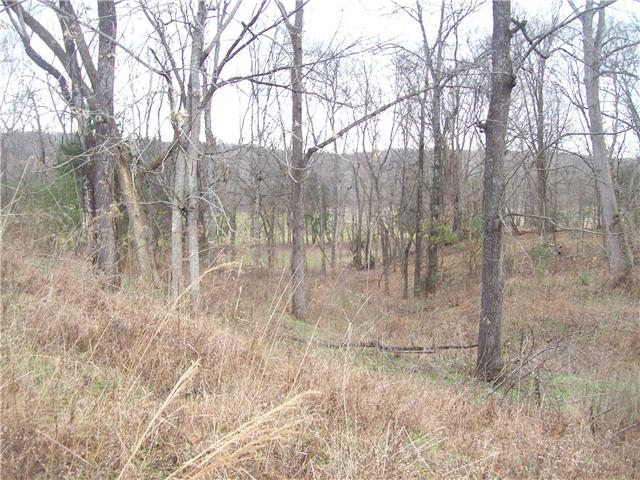 0 Beaverdam East Road Centerville, TN 37033 - Photo 10 of 13 Gallery Image 10