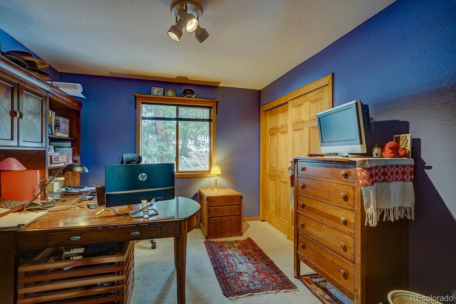 35 Zip Lane Bailey, CO 80421 - Photo 12 of 40 Gallery Image 12