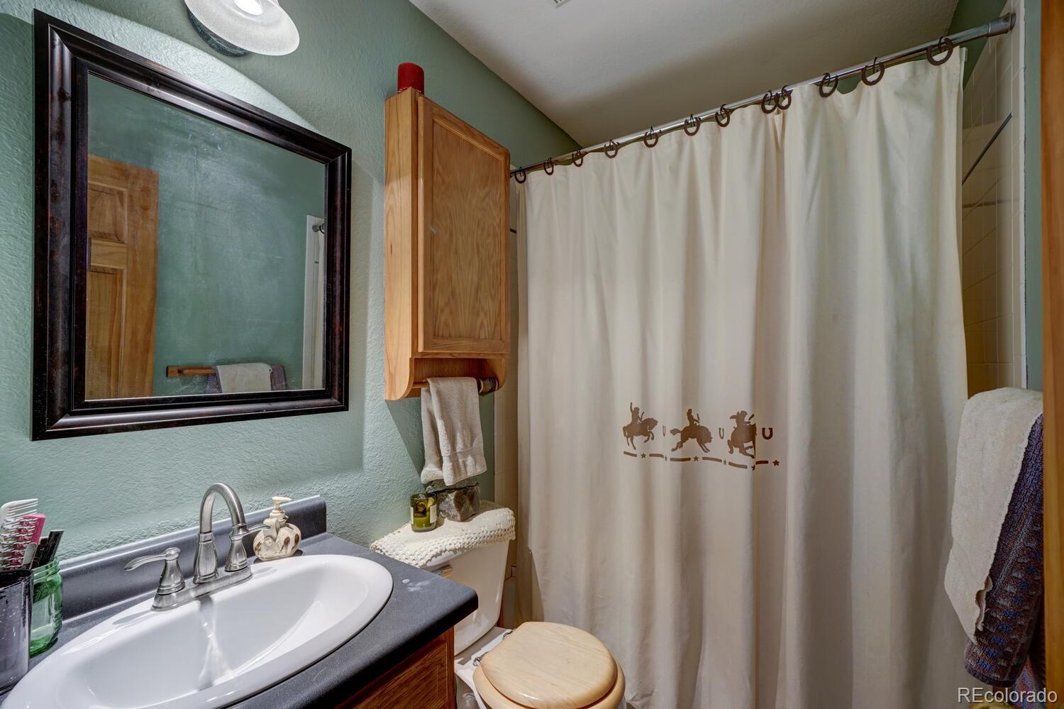 35 Zip Lane Bailey, CO 80421 - Photo 14 of 40 Gallery Image 14