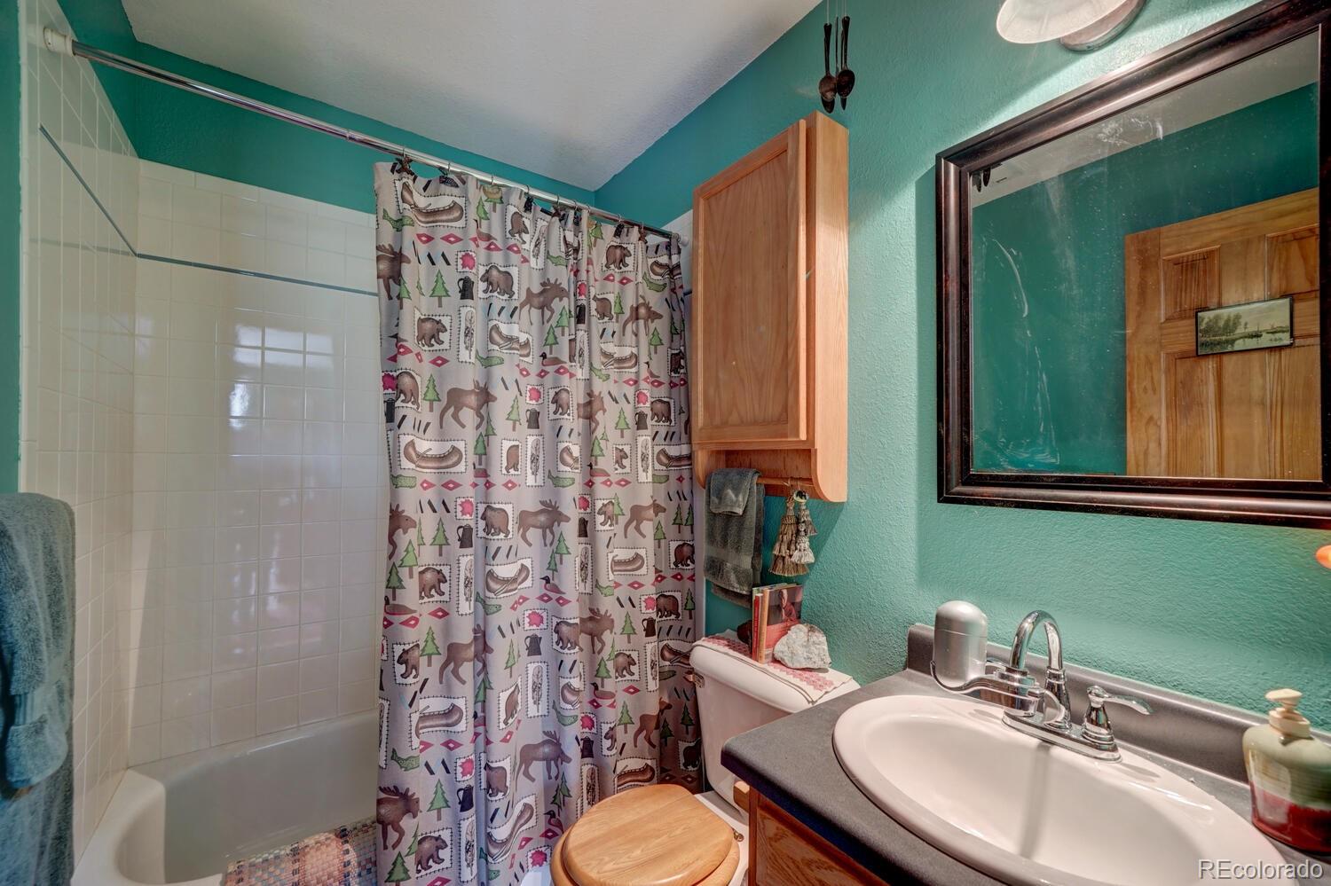 35 Zip Lane Bailey, CO 80421 - Photo 23 of 40 Gallery Image 23