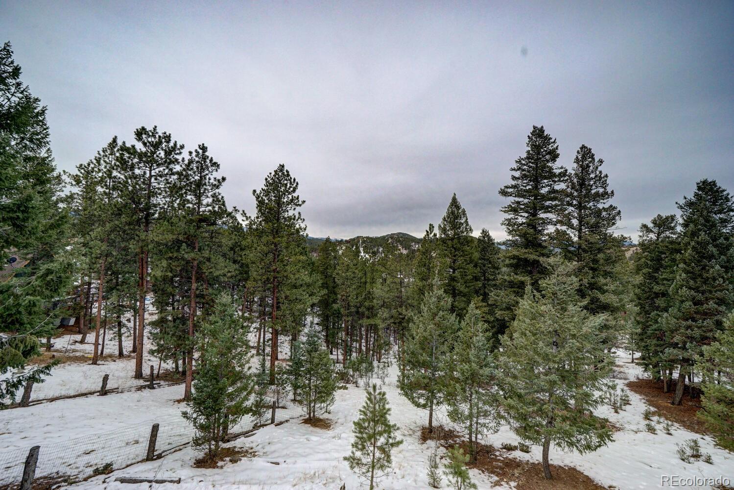 35 Zip Lane Bailey, CO 80421 - Photo 32 of 40 Gallery Image 32