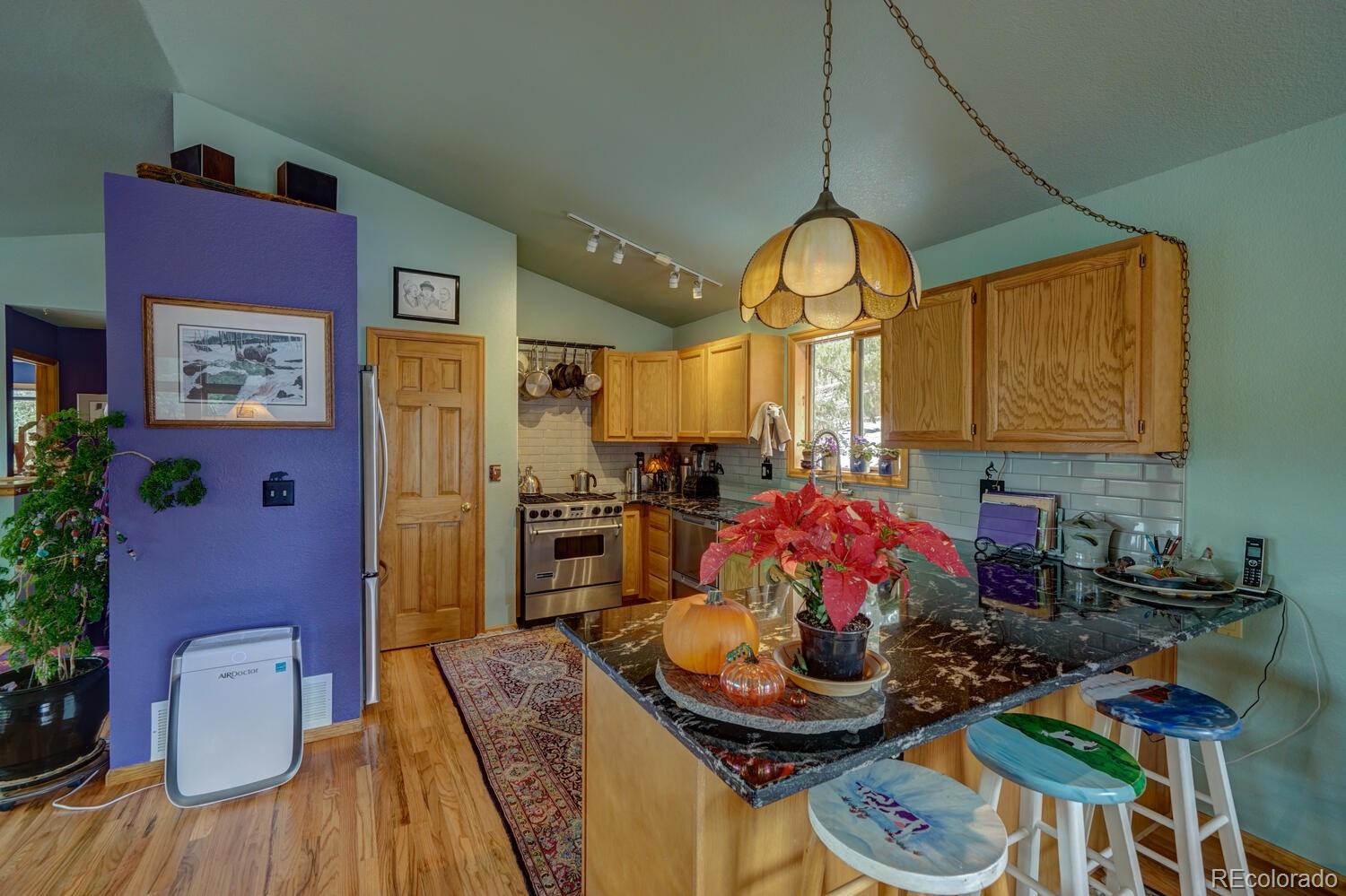 35 Zip Lane Bailey, CO 80421 - Photo 8 of 40 Gallery Image 8