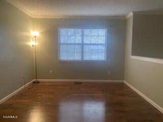 4132 Abercorn Road Knoxville, TN 37921 - Photo 3 of 21 IMG_3224 Small
