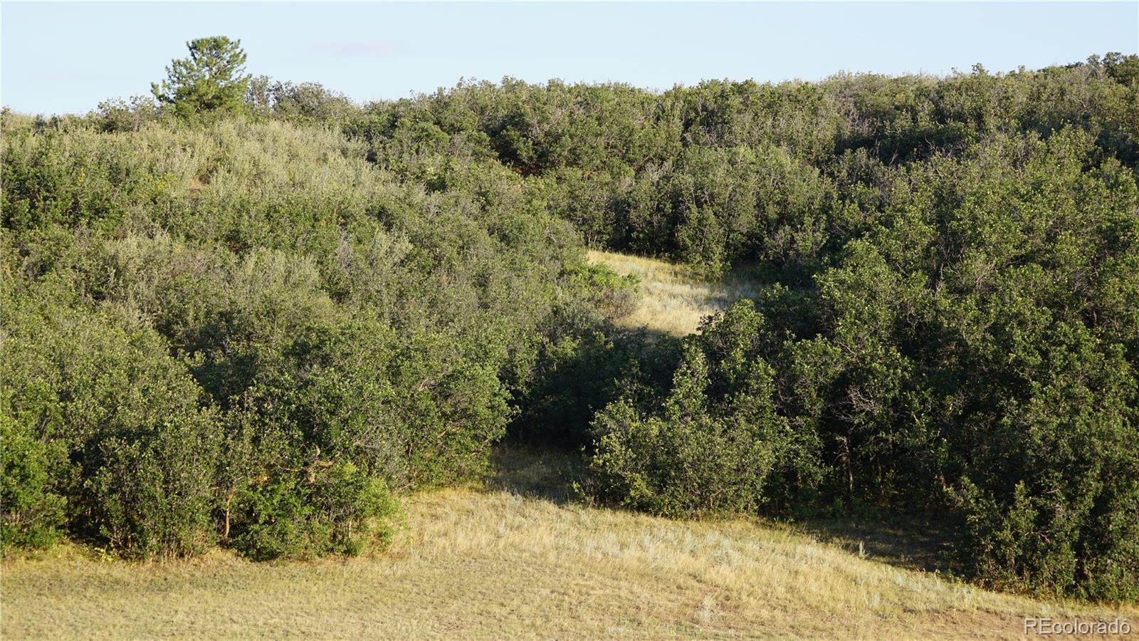 3400 Bears Den Drive Sedalia, CO 80135 - Photo 15 of 26