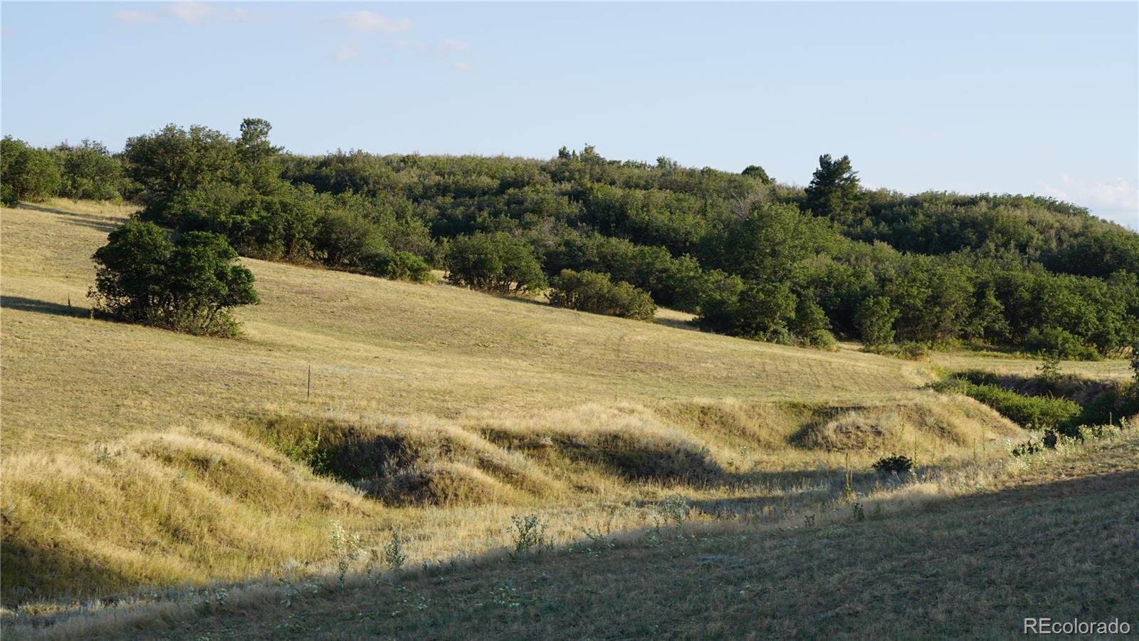3400 Bears Den Drive Sedalia, CO 80135 - Photo 16 of 26