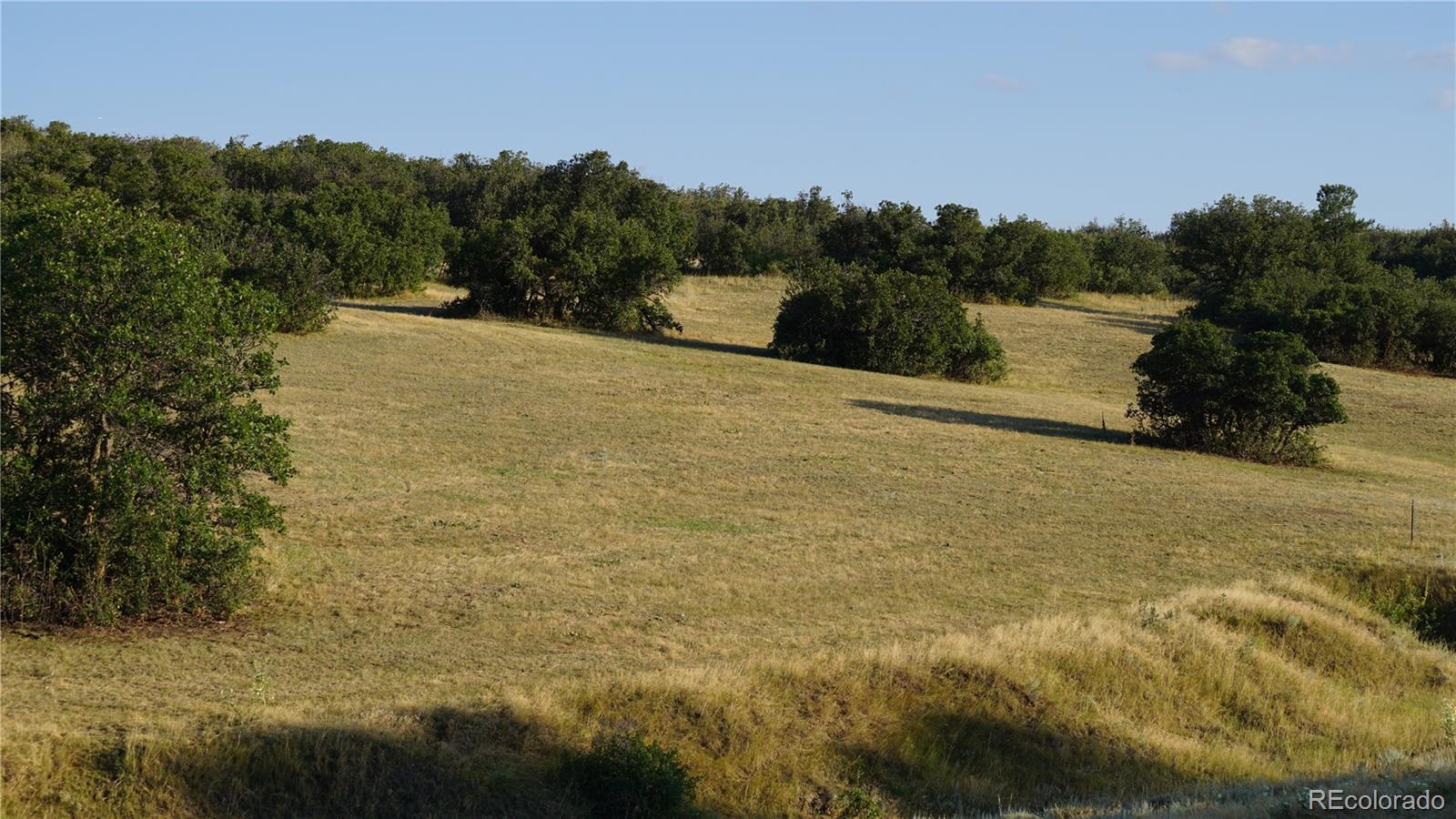 3400 Bears Den Drive Sedalia, CO 80135 - Photo 18 of 26