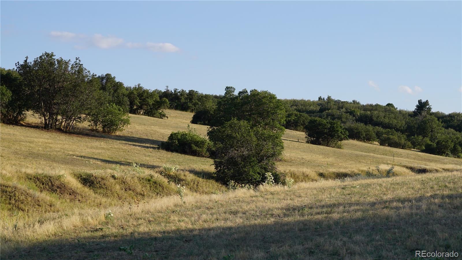 3400 Bears Den Drive Sedalia, CO 80135 - Photo 19 of 26