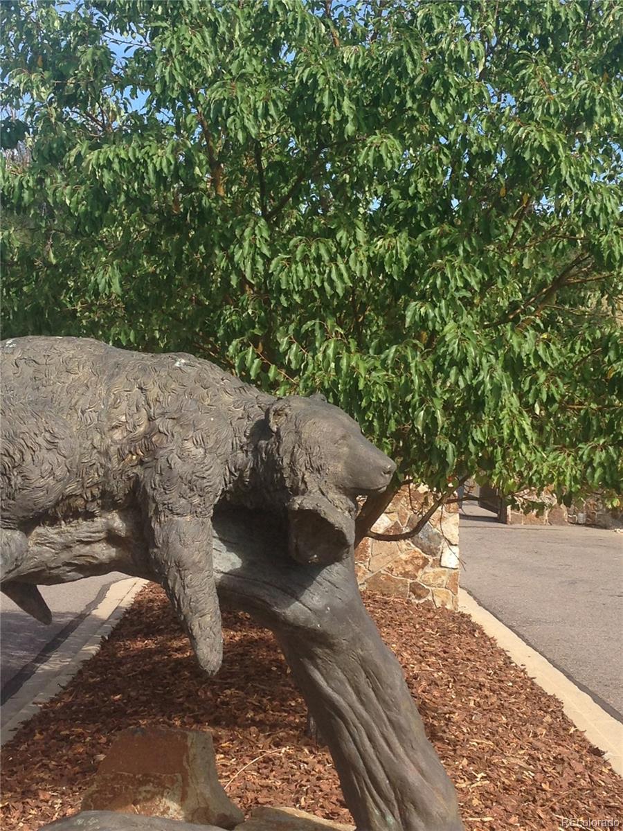 3400 Bears Den Drive Sedalia, CO 80135 - Photo 2 of 26