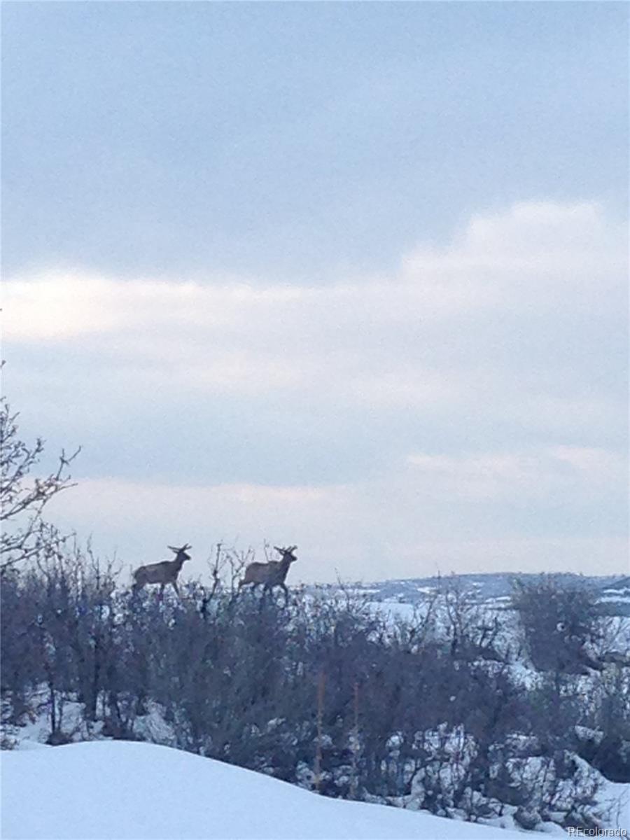 3400 Bears Den Drive Sedalia, CO 80135 - Photo 23 of 26