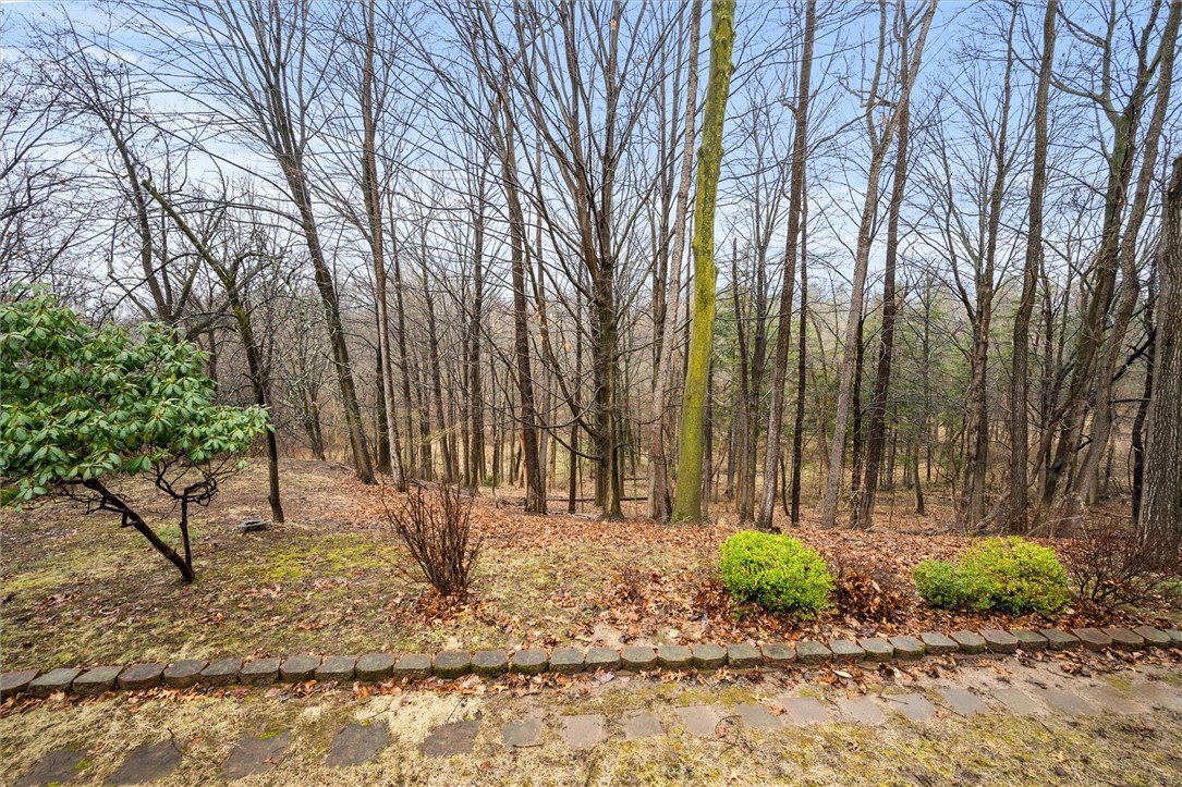 13 Shingle Mill Road Irondequoit, NY 14609 - Photo 48 of 50 View of Monroe County 115+ area of woods and trail