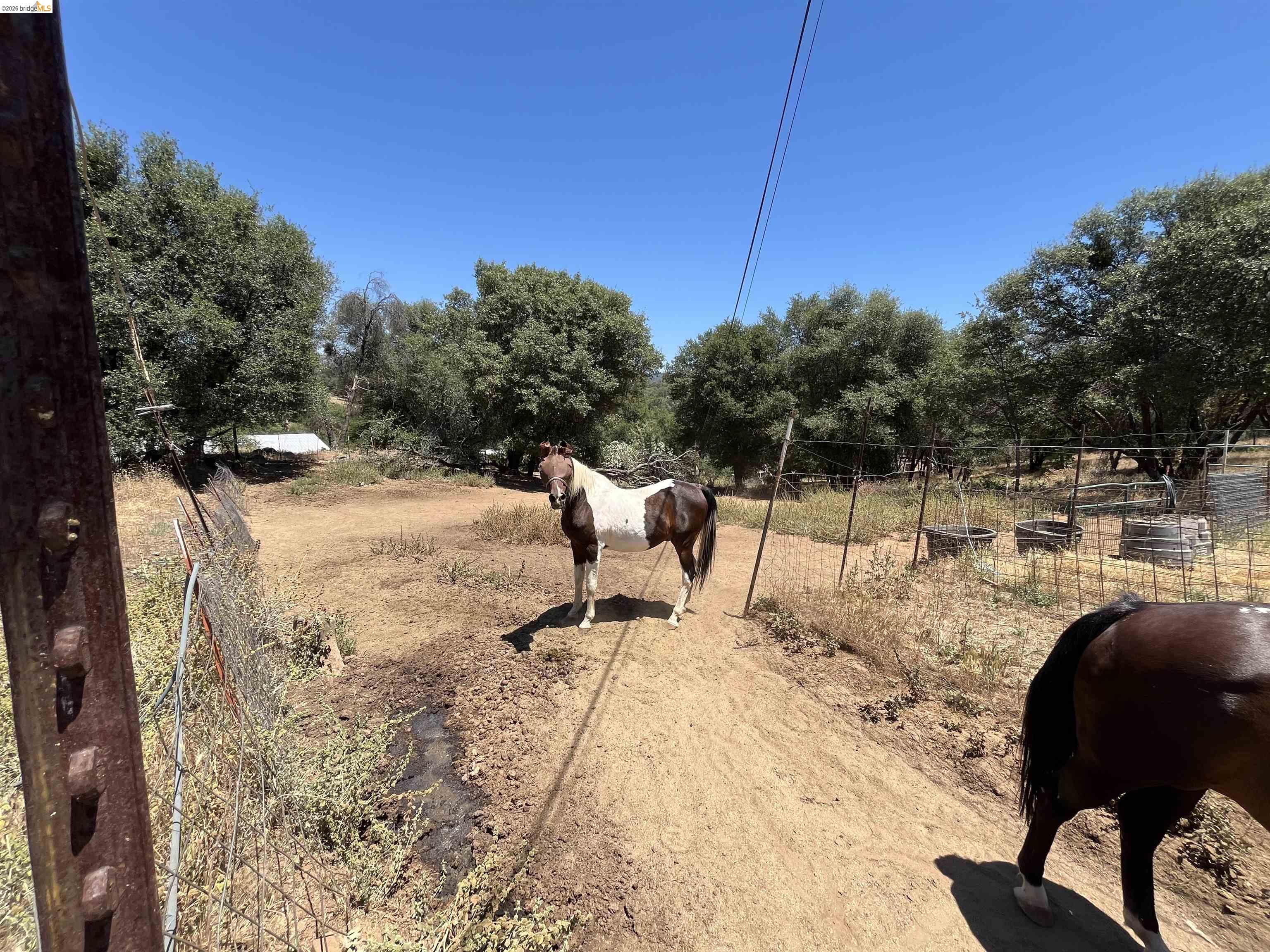 18195 Wards Ferry Road Sonora, CA 95370 - Photo 37 of 67 Fenced open pasture area with mature perimeter trees and agricultural fencing