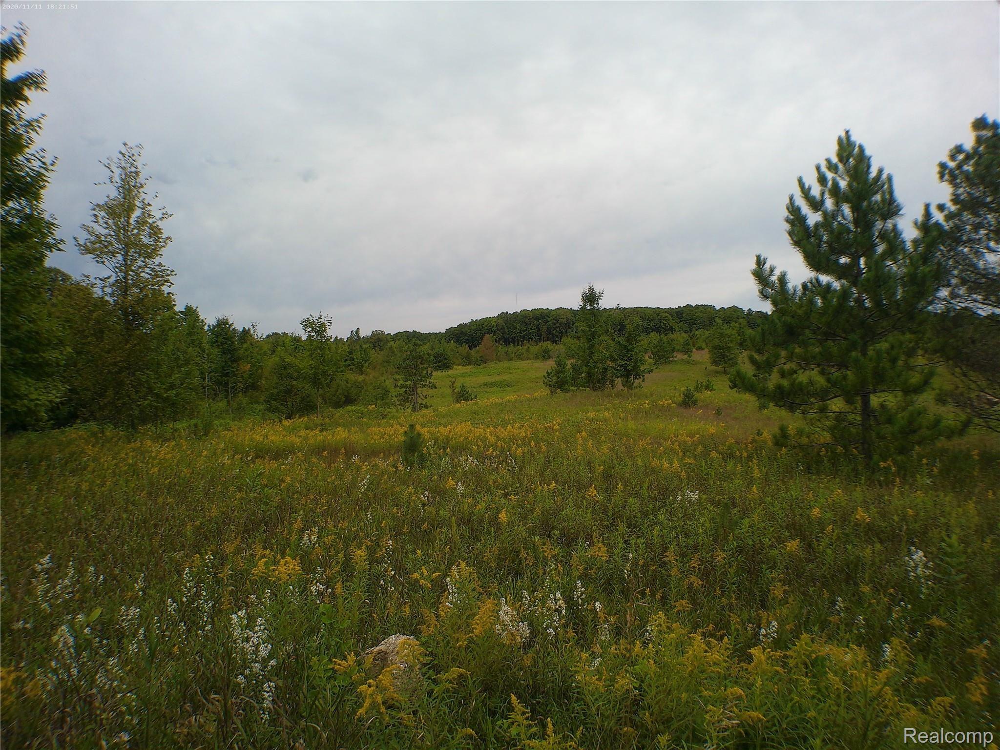 0 North 27th Road Mesick, MI 49668 - Photo 2 of 14 ANMP0250.jpg