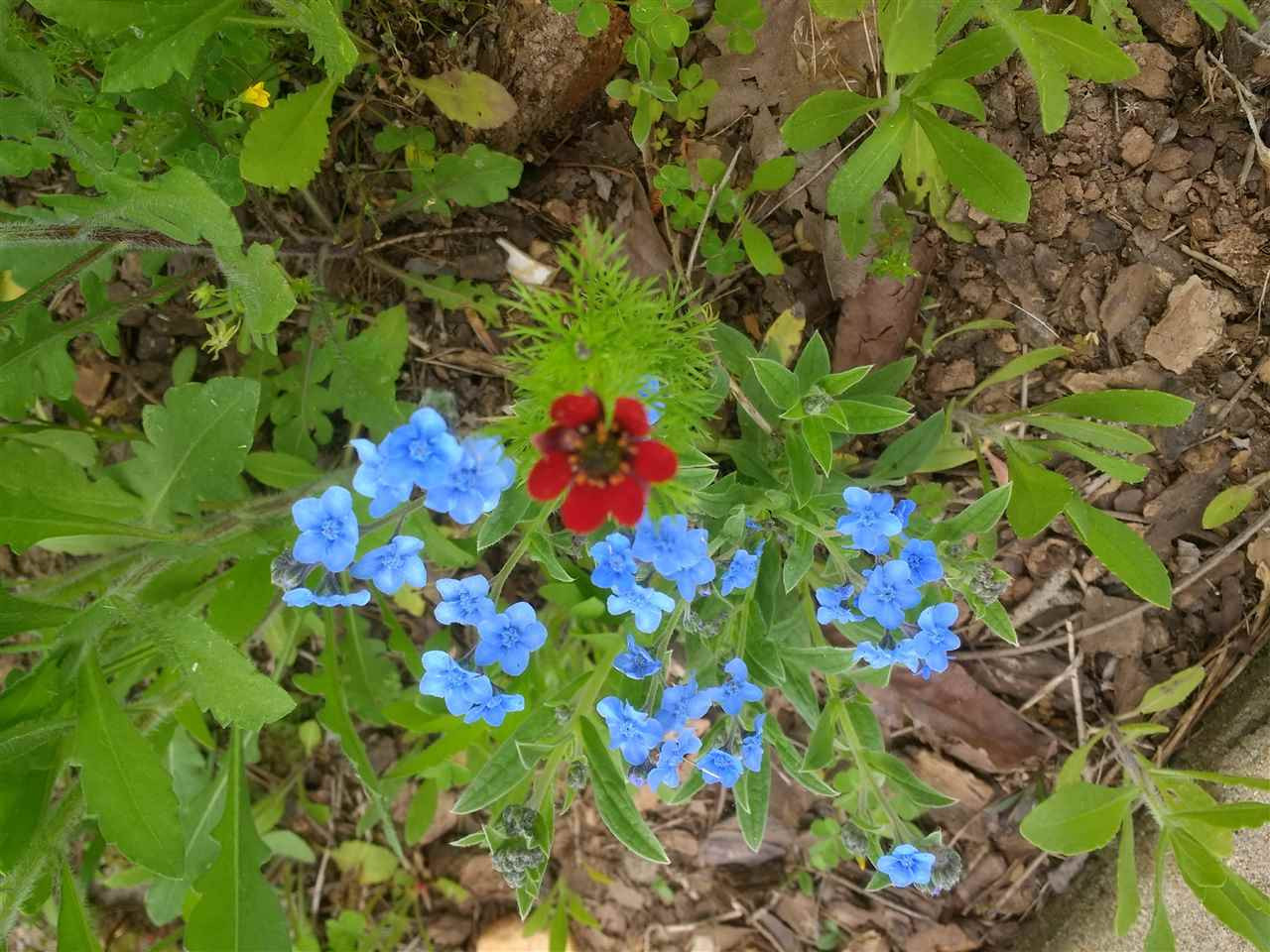 135 Cattle Farm Drive Raleigh, NC 27603 - Photo 27 of 30 Photo 27