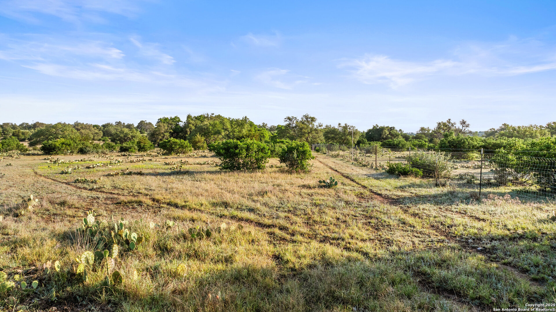 Lot 3 Vista Ridge Round Mountain, TX 78663 - Photo 16 of 19 a view of a field with trees in the background