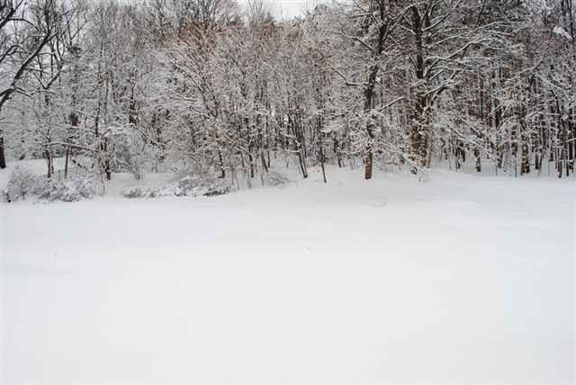 25 Eberle Road Colonie, NY 12110 - Photo 8 of 9 Photo 8