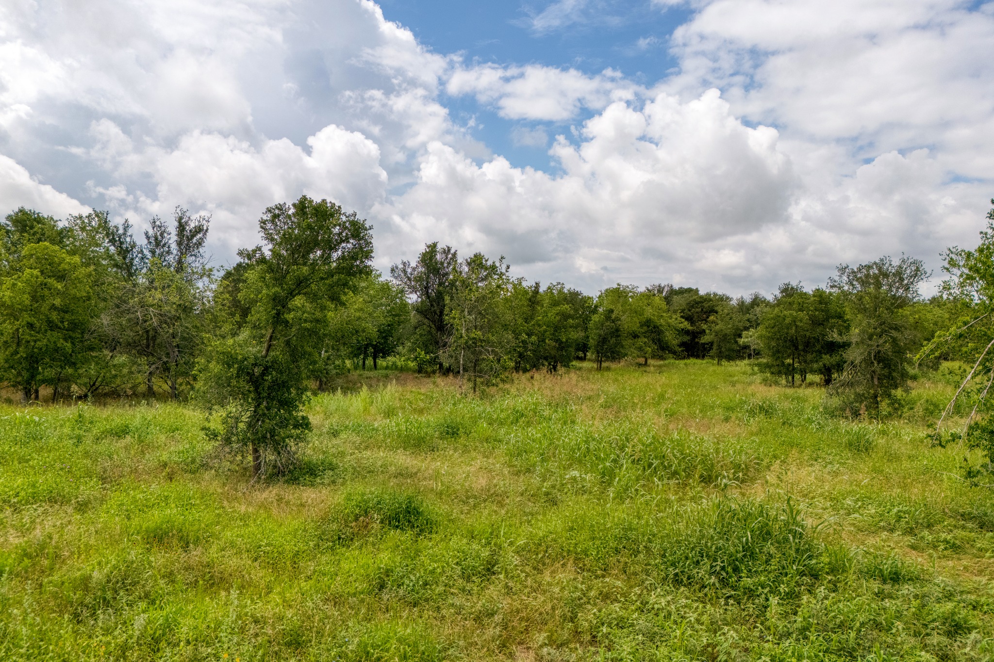 18101 Littig Road Manor, TX 78653 - Photo 9 of 35 Gallery Image 9